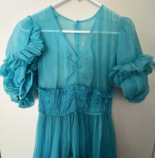 Vintage Concierge Blue Organdy Ruffle Dress